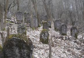Chęciny: Cmentarz żydowski w Chęcinach (ul. Radkowska 58a)