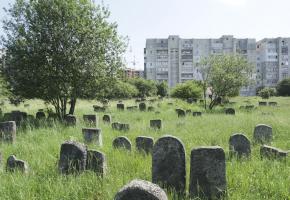Cmentarz żydowski w Kałuszu (wuł. Biłasa i Danyłyszyna 14) 
