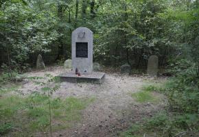 Cmentarz żydowski w Czemiernikach (ul. Północna Kolonia 30)