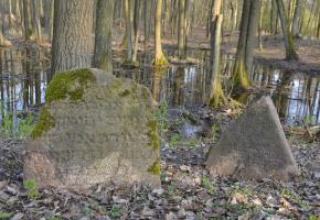 Knyszyn: Cmentarz żydowski w Knyszynie (ul. Białostocka)