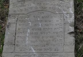 Radoszyce: Cmentarz żydowski w Radoszycach (Wisy)