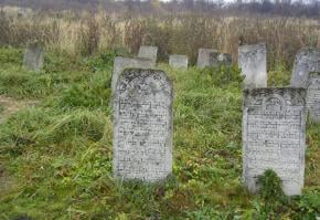 Krzeszów: Cmentarz żydowski w Krzeszowie (ul. Ulanowska)