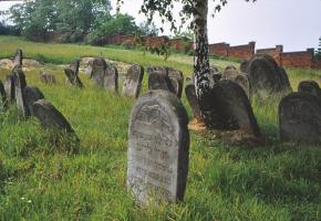 Radomsko: Cmentarz żydowski w Radomsku (ul. Przedborska 196)