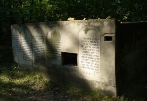 Jewish cemetery in Kock
