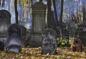 A special law aimed at rescuing the Jewish cemetery at Okopowa Street