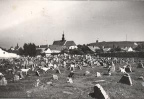 Cmentarz żydowski w Pińczowie (ul. Grodziskowa)