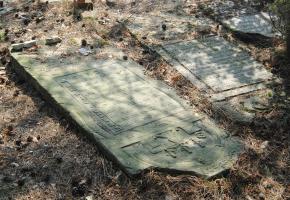 Inowłódz: Cmentarz żydowski w Inowłodzu