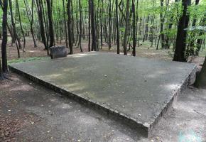 Miejsce egzekucji Żydów w Lasach Tynieckich pod Krakowem