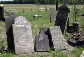 Cieszowa: Cmentarz żydowski w Cieszowej