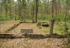 Jewish cemetery in Jadów