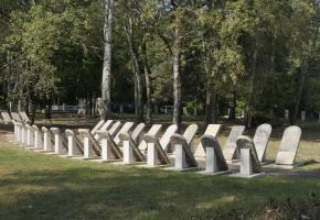 Serock: Cmentarz żydowski w Serocku (ul. Czeska)