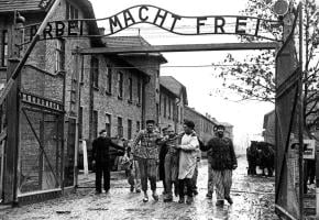 International Holocaust Remembrance Day