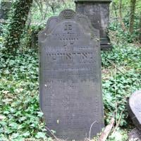  Markowicz