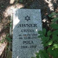 Chana Awner