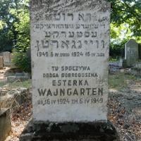 Estera Wajngarten