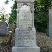 Henriette Friedensohn