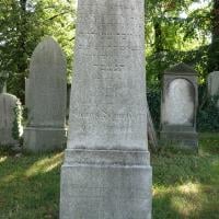 Julius Schneider