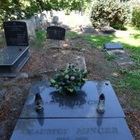Maurycy Mincer