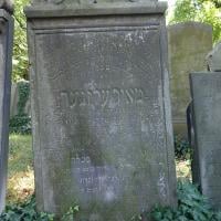 Meir Elzner