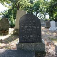Natan Ferster