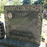 Szaja Gingold