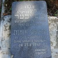 Zygmunt Spejcher