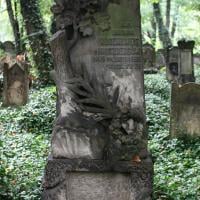 Bronia Rosenzweig