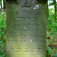 Abraham Cohn