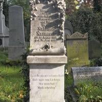 Salomon Samosch