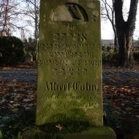 Albert Cohn