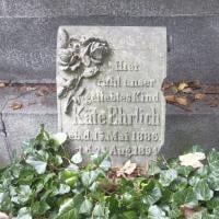 Kate Ehlrich