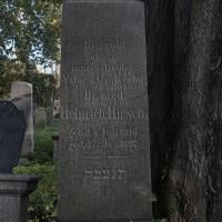 Heinrich Hirsch