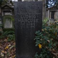 Ludwig Marcuse