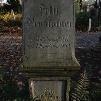 Felix Proskauer