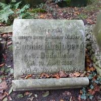 Sophie Rheinberg