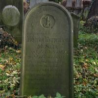 Johanna Wappenstein